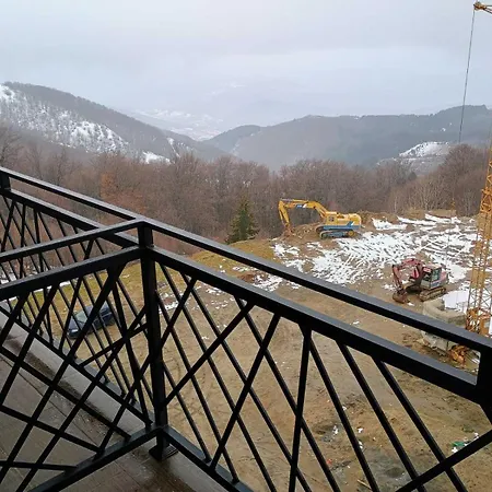 Simona President Kop Daire *