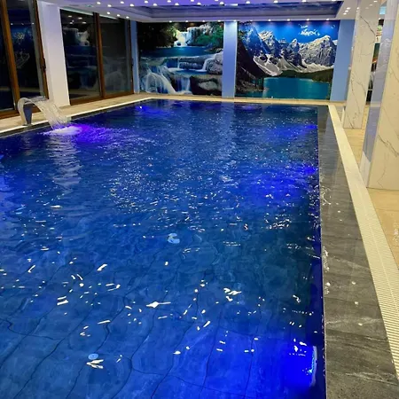 Simona President Kop *