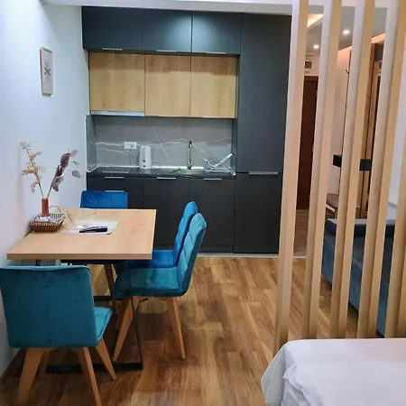 Simona President Kop *