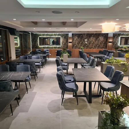 Daire Simona President Kop